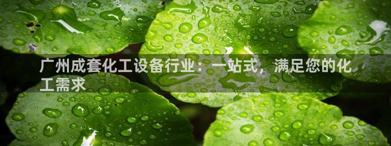 新城平台一新城注册