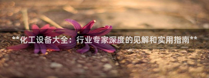 新城平台登录入口官网查询系统