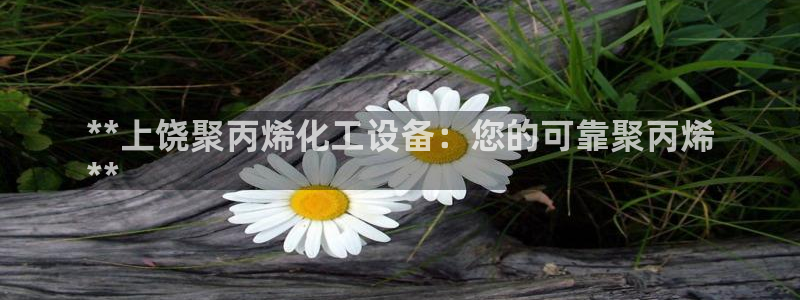 新城平台是干嘛的公司有哪些