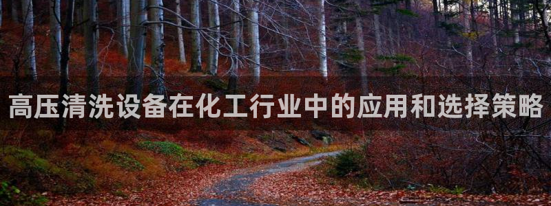 新城平台登录入口官网网址是多少