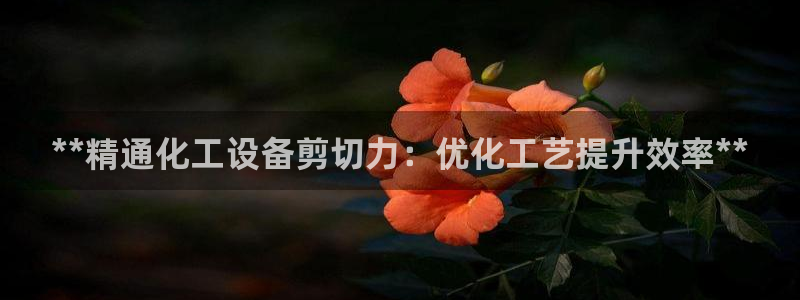 新城平台注册网址是多少