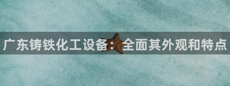 新城平台注册公司流程图