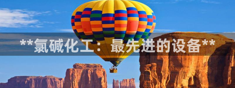 新城平台是干嘛的公司有哪些