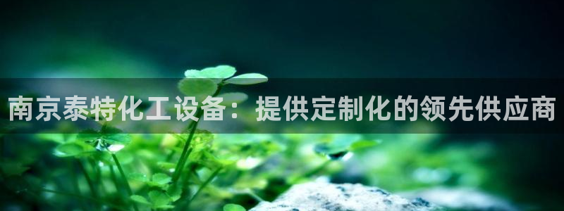 新城平台注册资金多少亿
