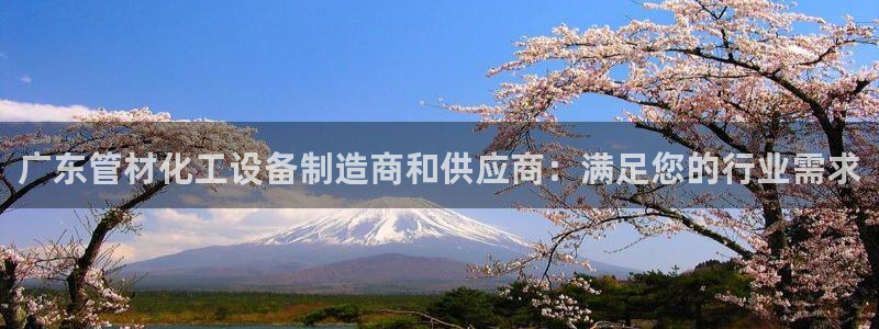 新城平台是干嘛的公司啊