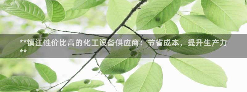 新城平台登录入口官网网址查询