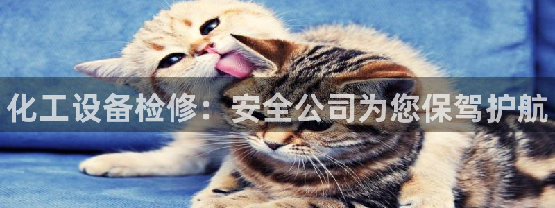 新城平台官网首页网址