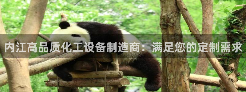 新城平台官网注册