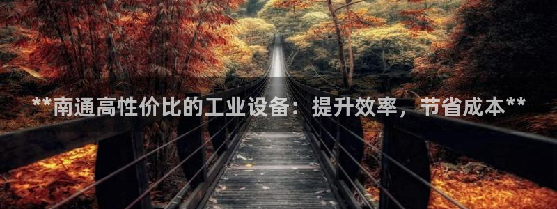 新城平台注册登录地址是什么