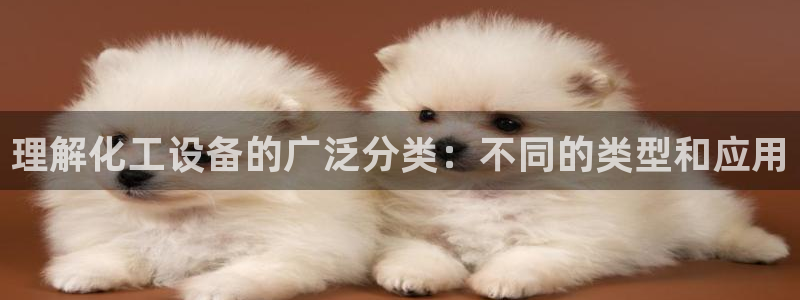 新城平台官网