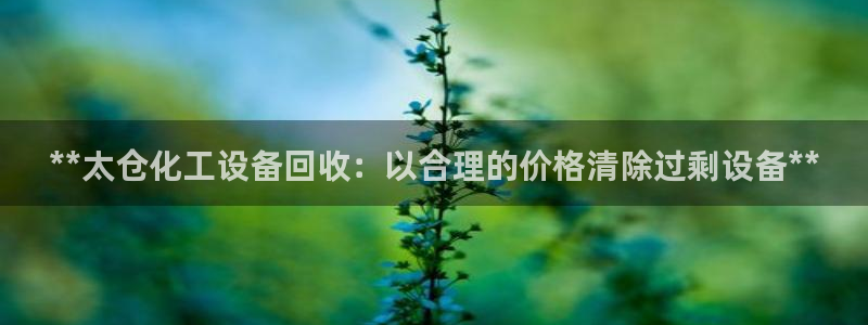 新城平台注册网址