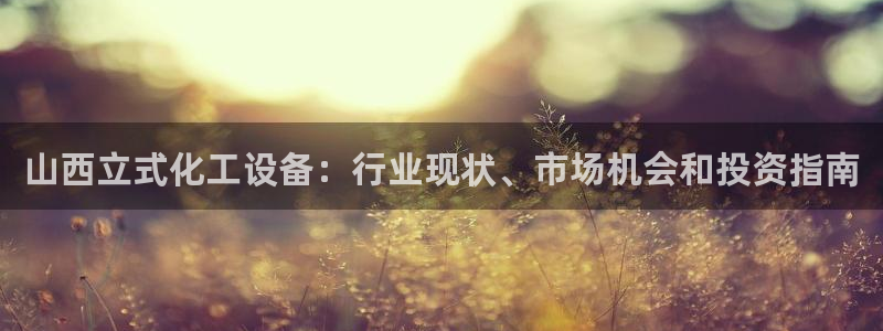 新城平台平台