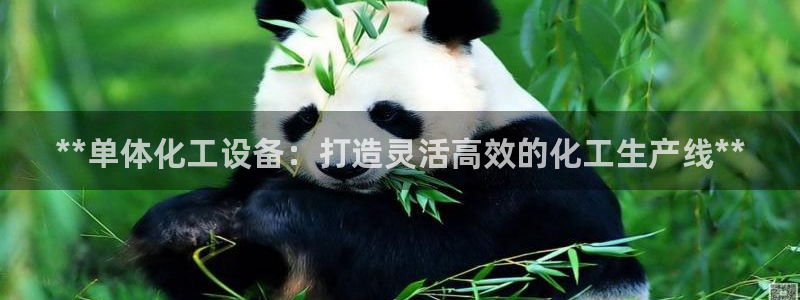 新城平台注册登录地址