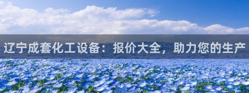 新城平台注册资金多少亿