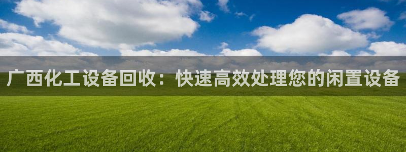 新城平台注册流程及费用
