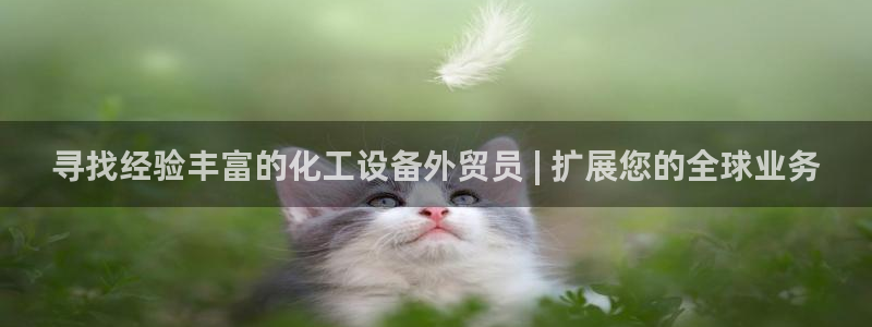 新城平台登录入口官网首页下载