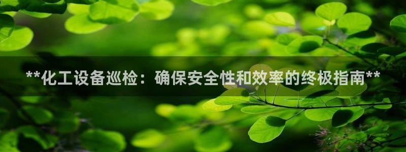 新城平台线路登录不上去了怎么办