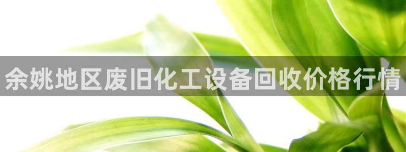 新城平台注册公司流程图