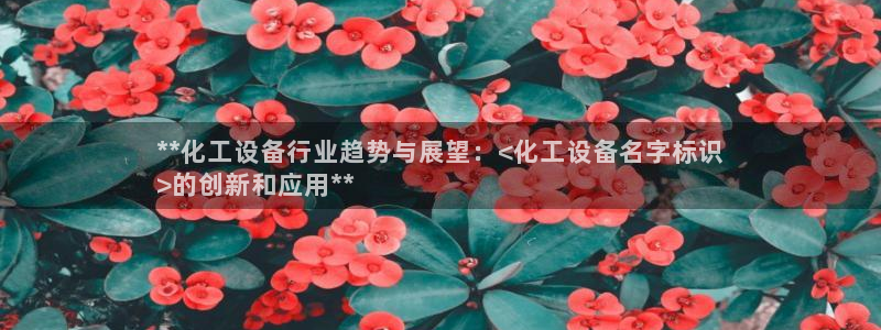 新城平台是干嘛的公司