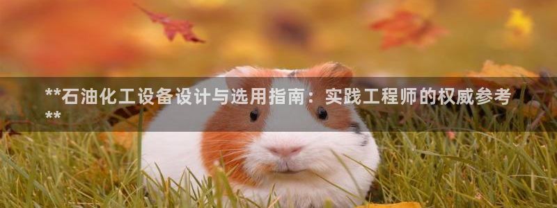 新城平台登录入口官网