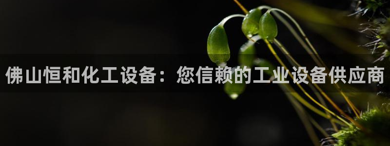 新城平台在线登陆