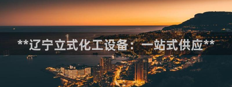 新城平台注册公司流程视频