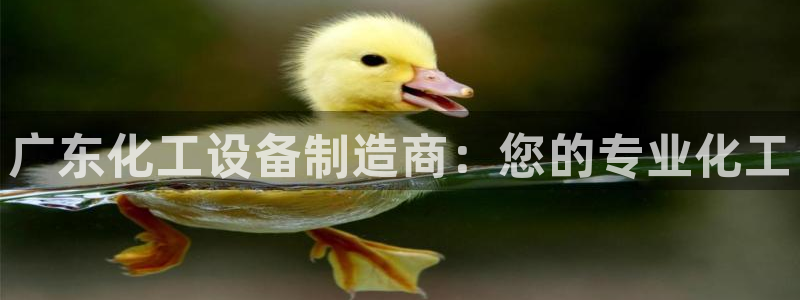 新城平台开户