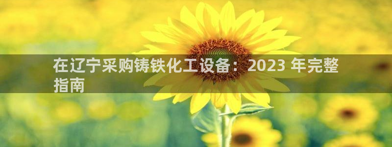 新城平台官网首页登录：在辽宁采购铸铁化工设备：20