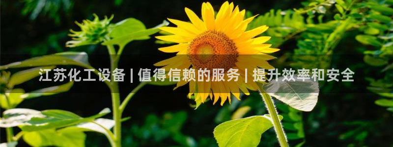 新城平台终7O777
