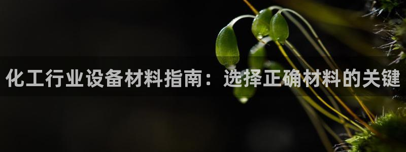 新城平台登录入口官网下载app