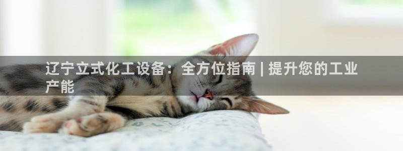 新城平台企业信息查询