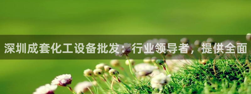 新城平台游戏：深圳成套化工设备批发：行业领导者，提
