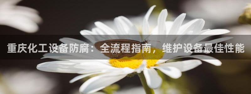 新城平台注册流程及费用