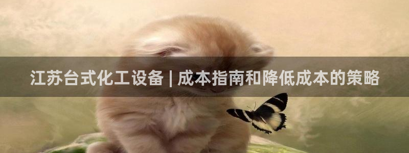 新城平台登录入口官网首页查询