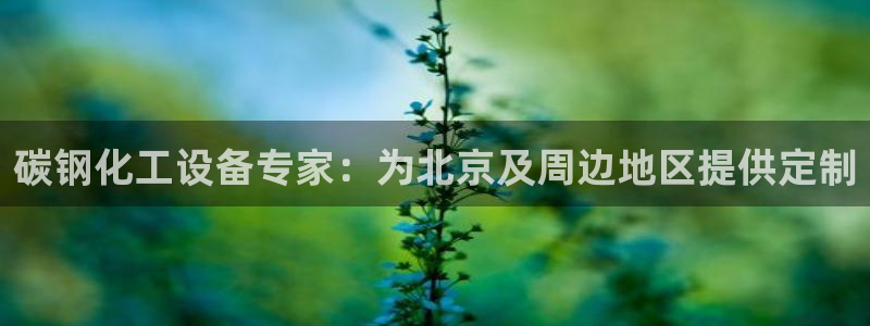 新城平台是干嘛的公司有哪些