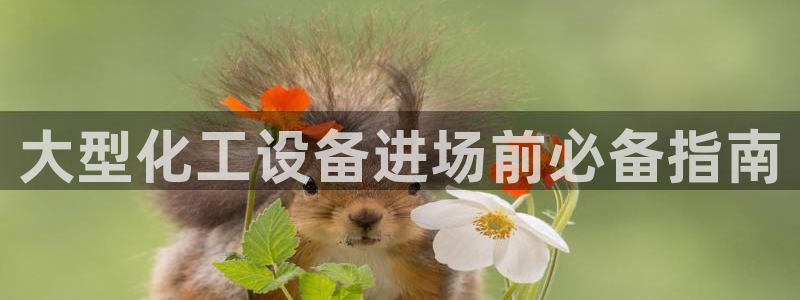 新城平台注册流程及费用