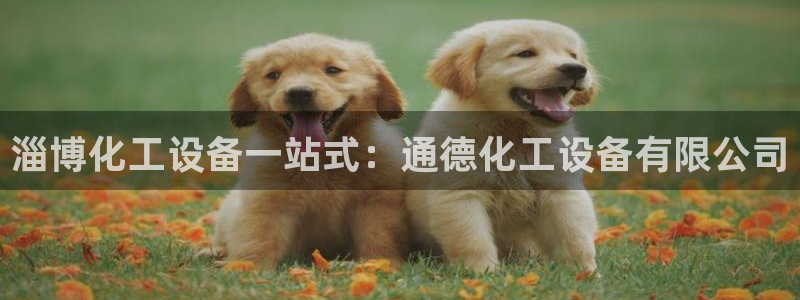 新城平台登录入口官网查询系统：淄博化工设备一站式：