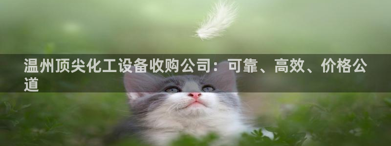 新城平台线路登录不上去了