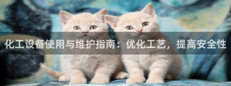 新城平台登录入口