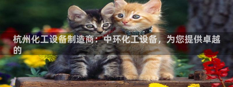 新城平台：杭州化工设备制造商：中环化工设备，为您提