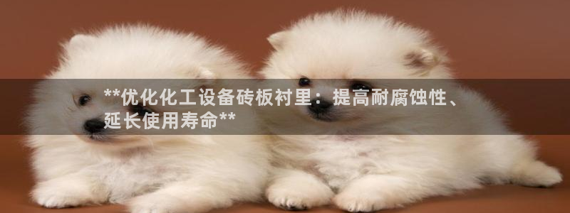 新城平台线路检测中心：**优化化工设备砖板衬里：提高耐腐蚀性