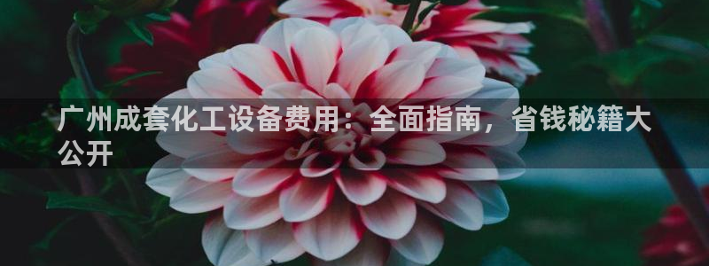 新城平台登录密码忘了