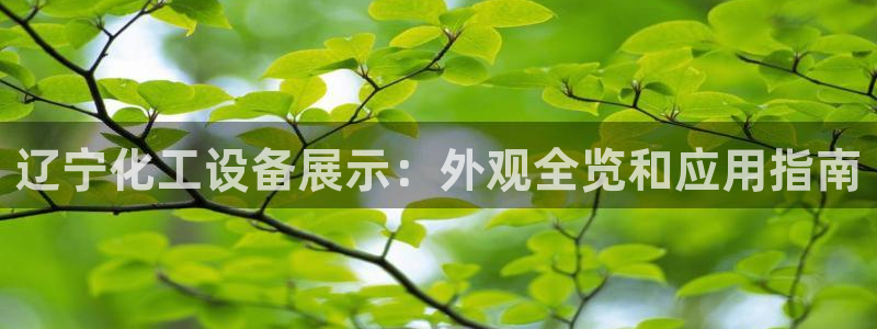 新城平台登陆