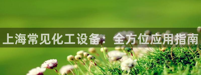 新城平台注册网址：上海常见化工设备：全方位应用指南