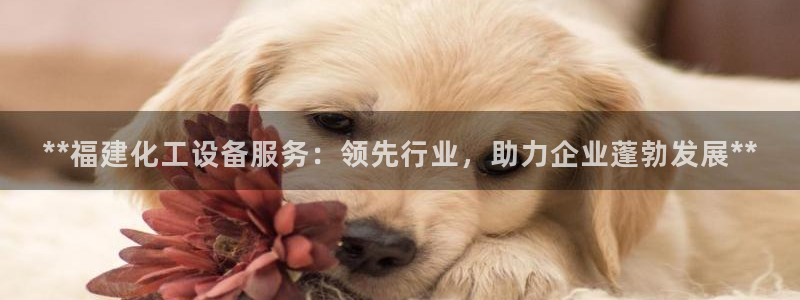 新城平台注册网址是什么