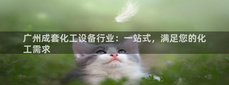 新城平台登录入口官网下载手机版