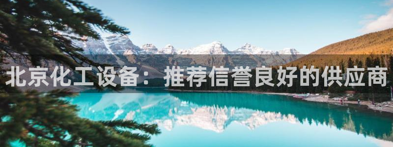 新城平台是干嘛的公司有哪些