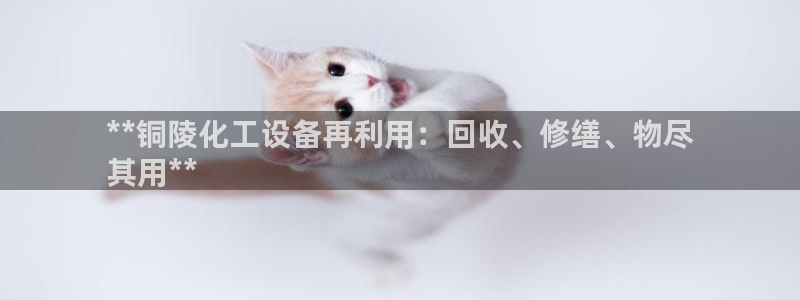 新城平台注册公司流程及费用：**铜陵化工设备再利用