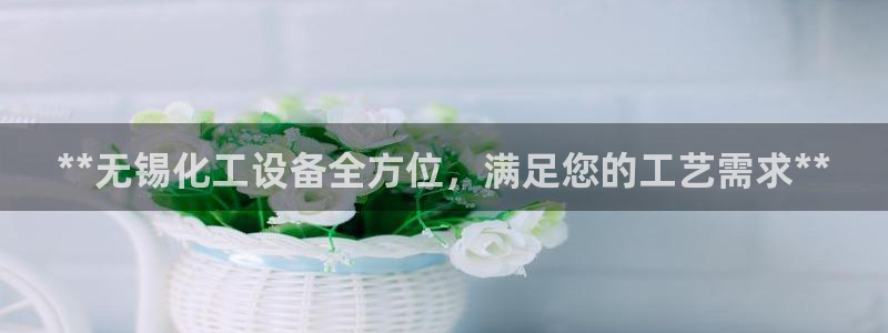 新城平台是干嘛的公司