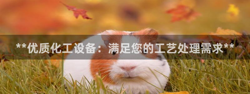 新城平台将7O777